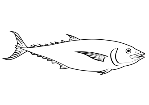 Mackerel Tuna (Euthynnus Affinis) Coloring Page